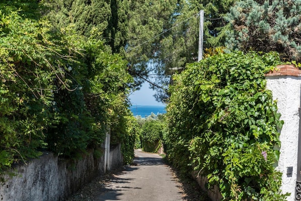 Property grounds - B&B La Magnolia (Castellabate)