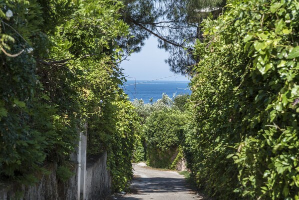 Ulkopuoli