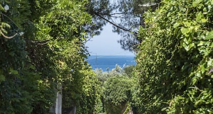 B&B La Magnolia