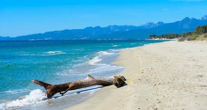 Campo Vecchio Kamérops et Piscine
