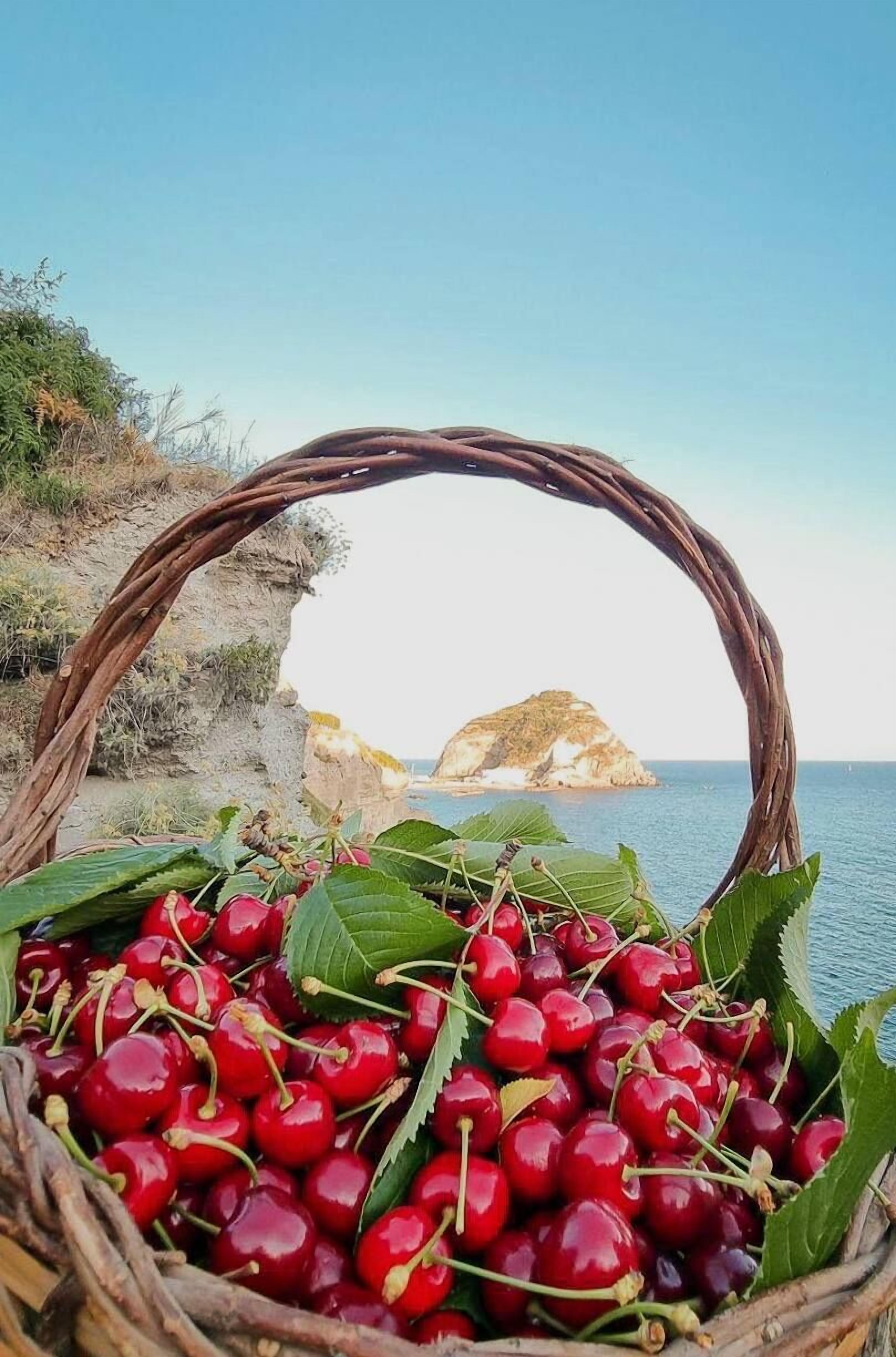 Photo - Villa Bina Sea Hotel