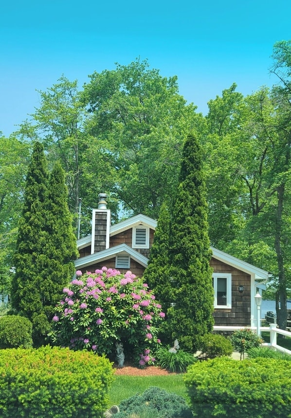 Uma casa com placa de número 10, cercada por vegetação exuberante e arbustos floridos.