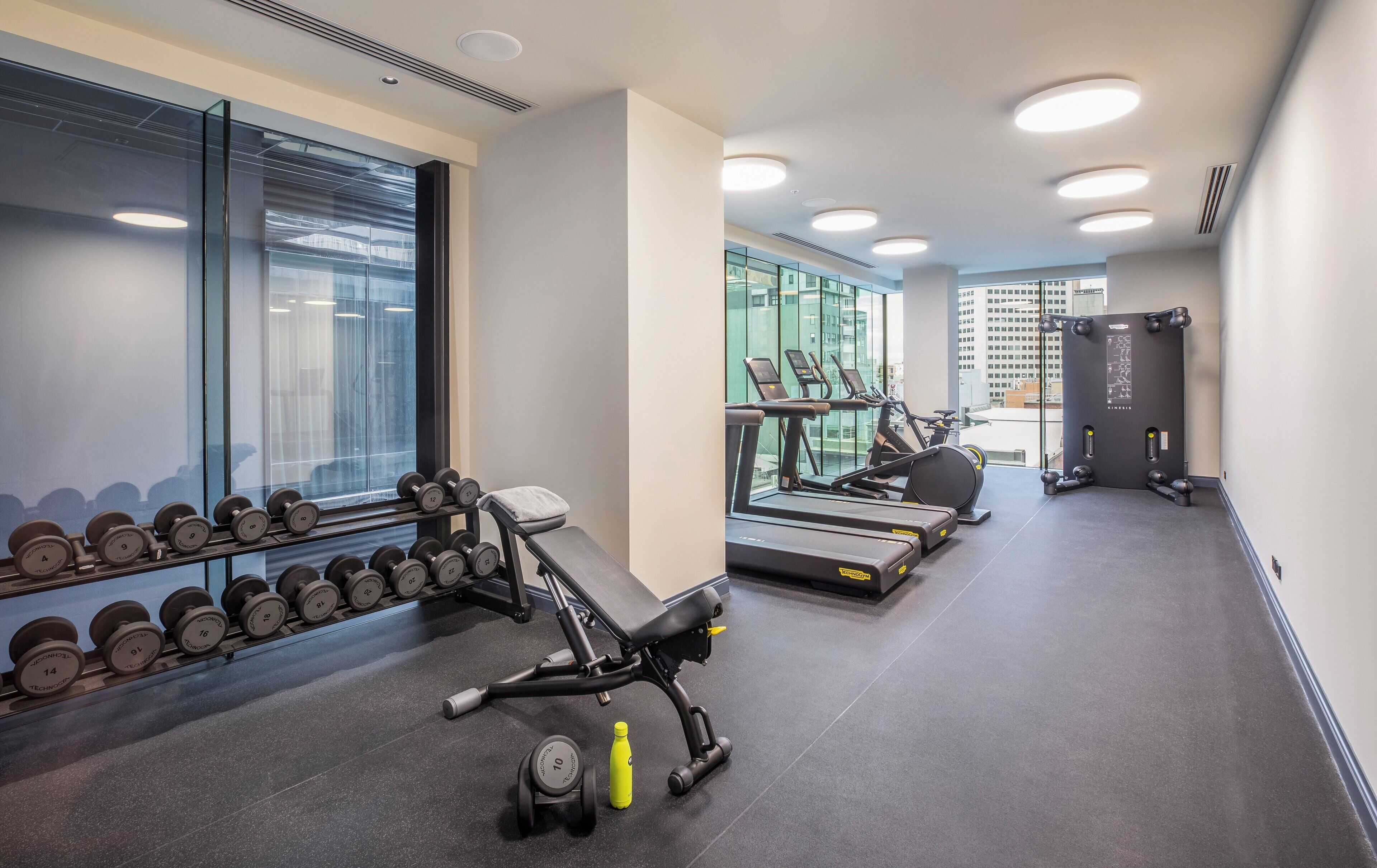 A gym with exercise equipment, a bench, dumbbells, and a treadmill.