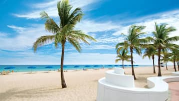 Playa en los alrededores