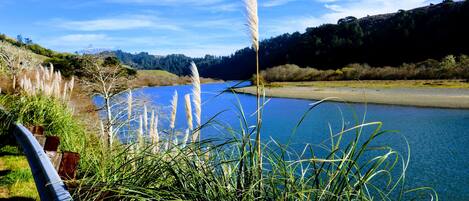 A serene lake with tall grasses and a clear blue sky.