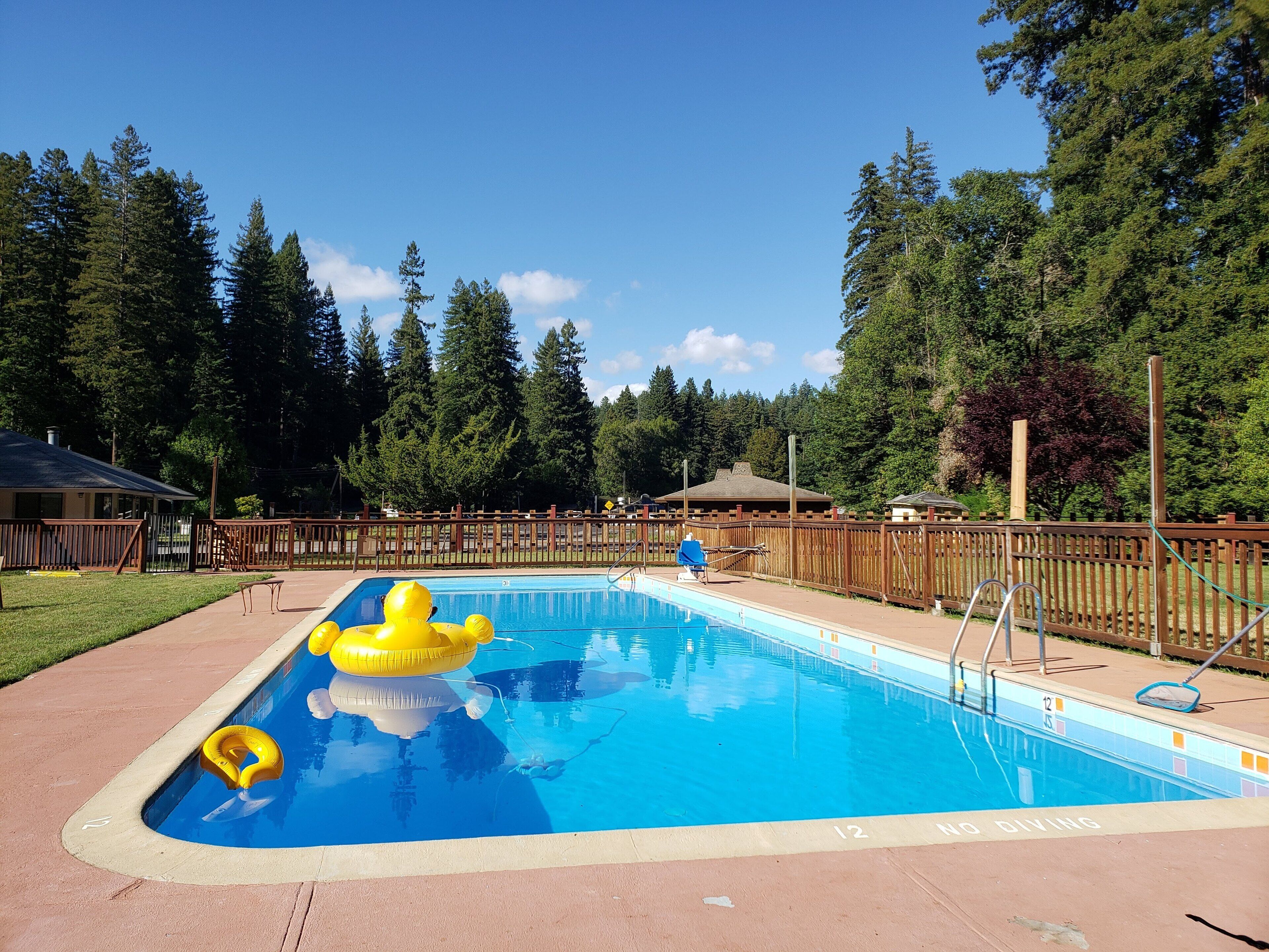 Piscina retangular com interior azul, cercada por uma vedação de madeira e uma área gramada com árvores ao fundo.