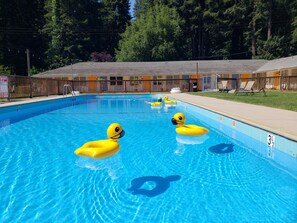 Außenpool (je nach Saison geöffnet), Liegestühle