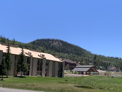 Perfect Ground Level Condo for Winter and Summer -Walking Distance to Everything