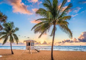 Une plage avec un poste de surveillance pour les sauveteurs, des palmiers et l’océan.