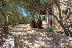 المنطقة المحيطة بالمنشأة