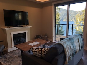TV, fireplace, books