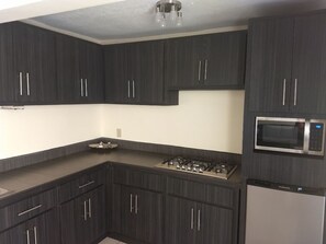 Fridge, microwave, stovetop, blender