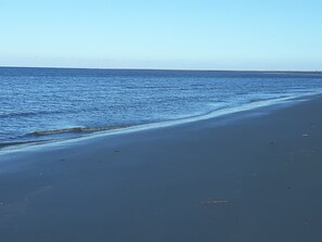 On the beach, beach towels - Ocean Front & pool view. Hunting Island pass included (Saint Helena Island)
