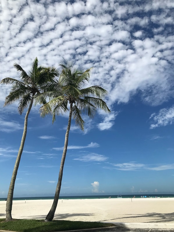 On the beach, sun loungers, beach towels