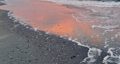 Cute little condo poolside Ground Floor with Beach access. Family friendly.