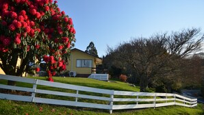 A yellow house with a white fence in front, surrounded by lush greenery and a large flowering tree. - Waitomo Big Bird Retreat (Waitomo)