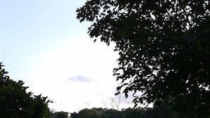 A grassy area with a body of water and trees in the background. - Riverfront rental (South Elgin)