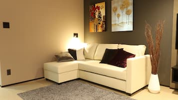 Flat-screen TV