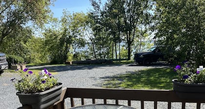 cozy cabin surrouned by mature trees on wabigoon lake