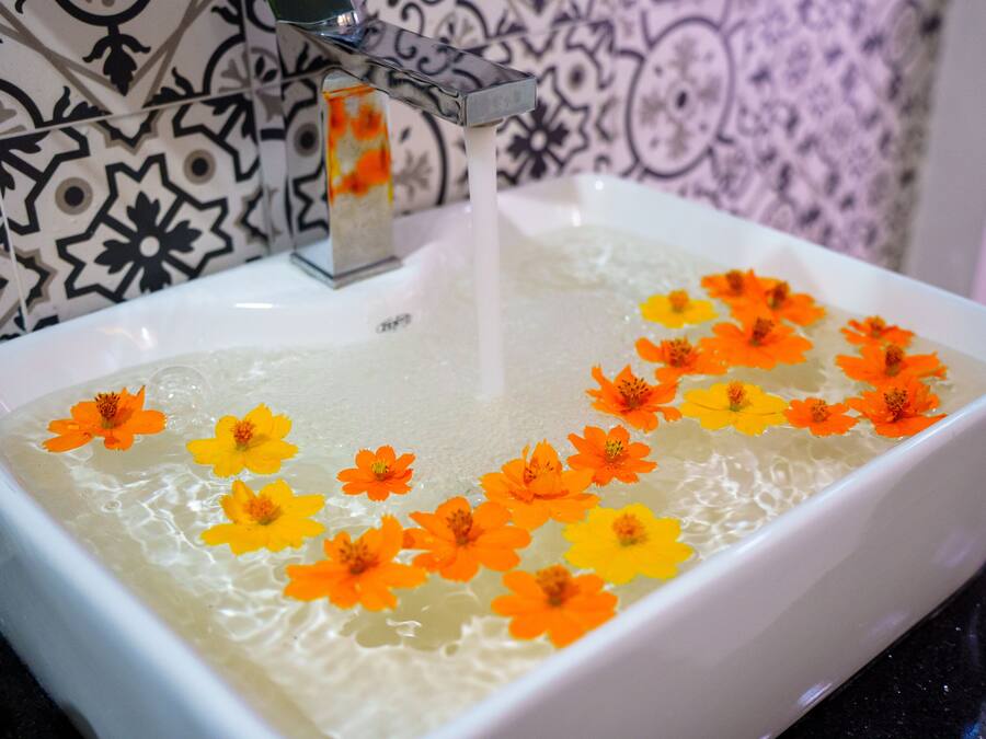 A white rectangular sink with a faucet, filled with water and floating flowers.