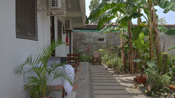 Un sendero estrecho que conduce a un pequeño patio con mesa y sillas, rodeado de plantas en macetas y un muro de piedra.