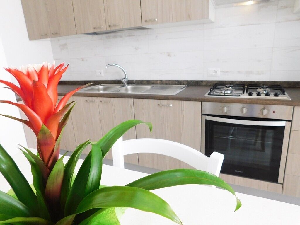 Kühlschrank, Ofen, Herdplatte, Wasserkocher mit Kaffee-/Teezubehör