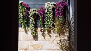 An arched doorway leading to a stone wall adorned with hanging flowers and plants, with a statue and a small fountain visible in the foreground. - Flower Young B&B (Hualien City)