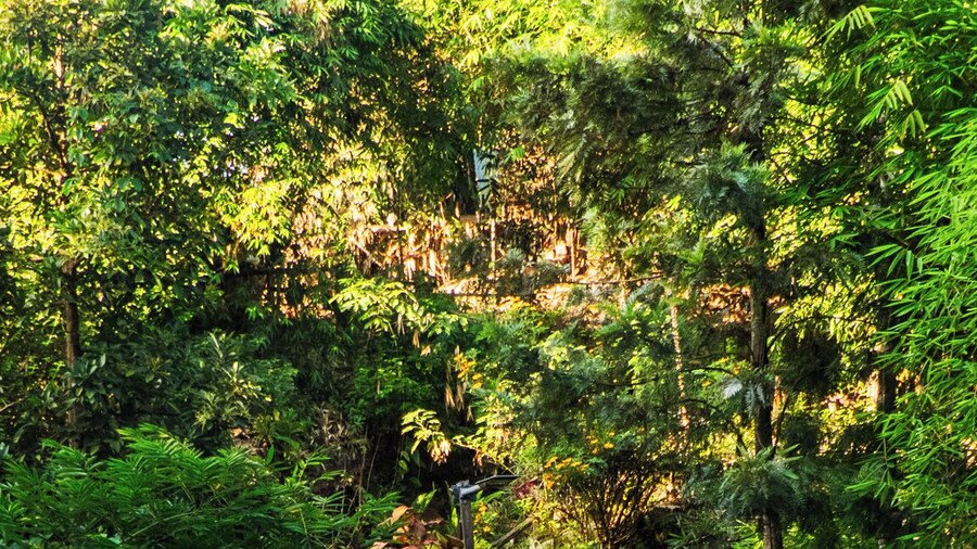 TheAnabas Trout & Seafood Grill