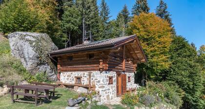 Ferienhaus "Baita Pizabornè" mit Bergblick und Garten