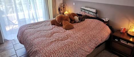 1 室のベッドルーム、WiFi