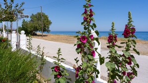 A coastal road with white fences and vibrant purple flowers. - Sea & Sun (Rhodes)