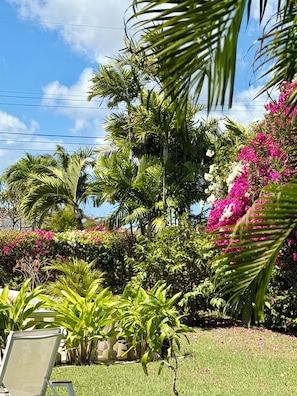 Un jardin luxuriant, avec des palmiers, des arbustes en fleurs et une pelouse où est placée une chaise.