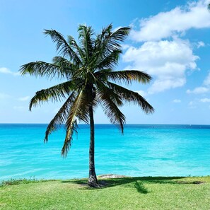 Playa en los alrededores y toallas de playa 