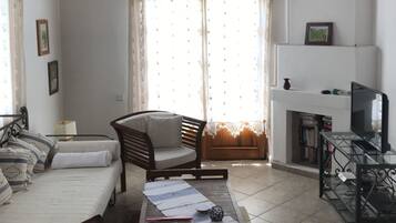 Televisor i llibres