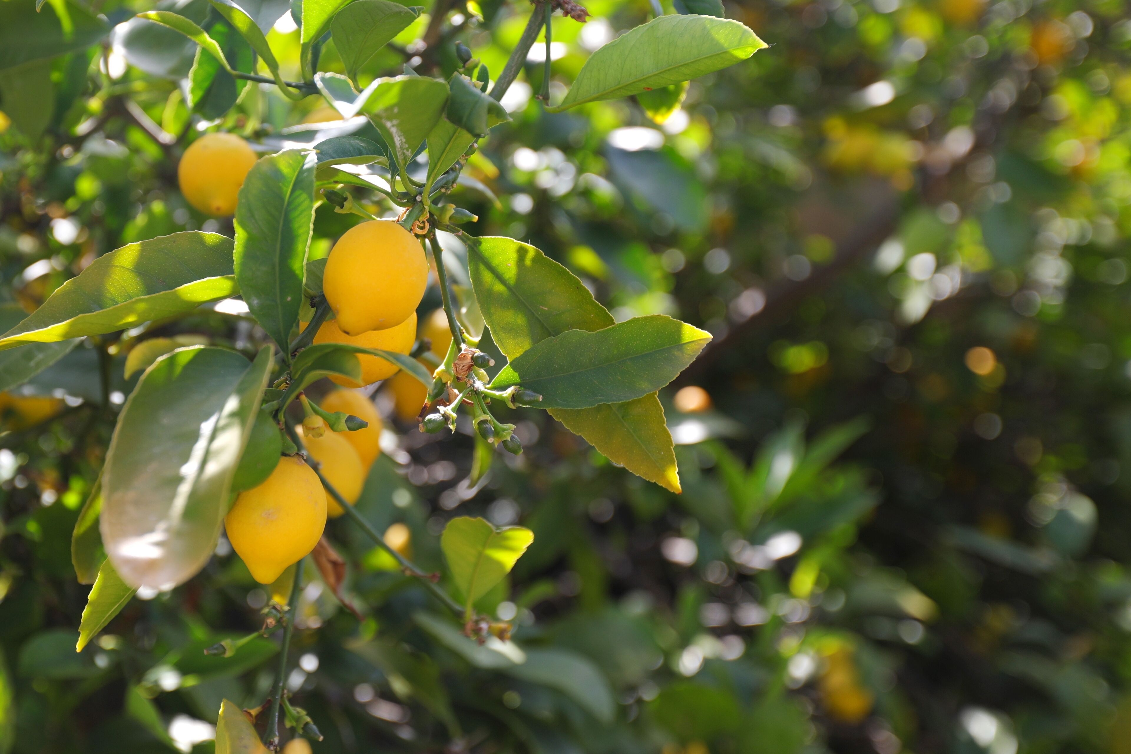 Enjoy privacy and experienced hospitality  — image 15