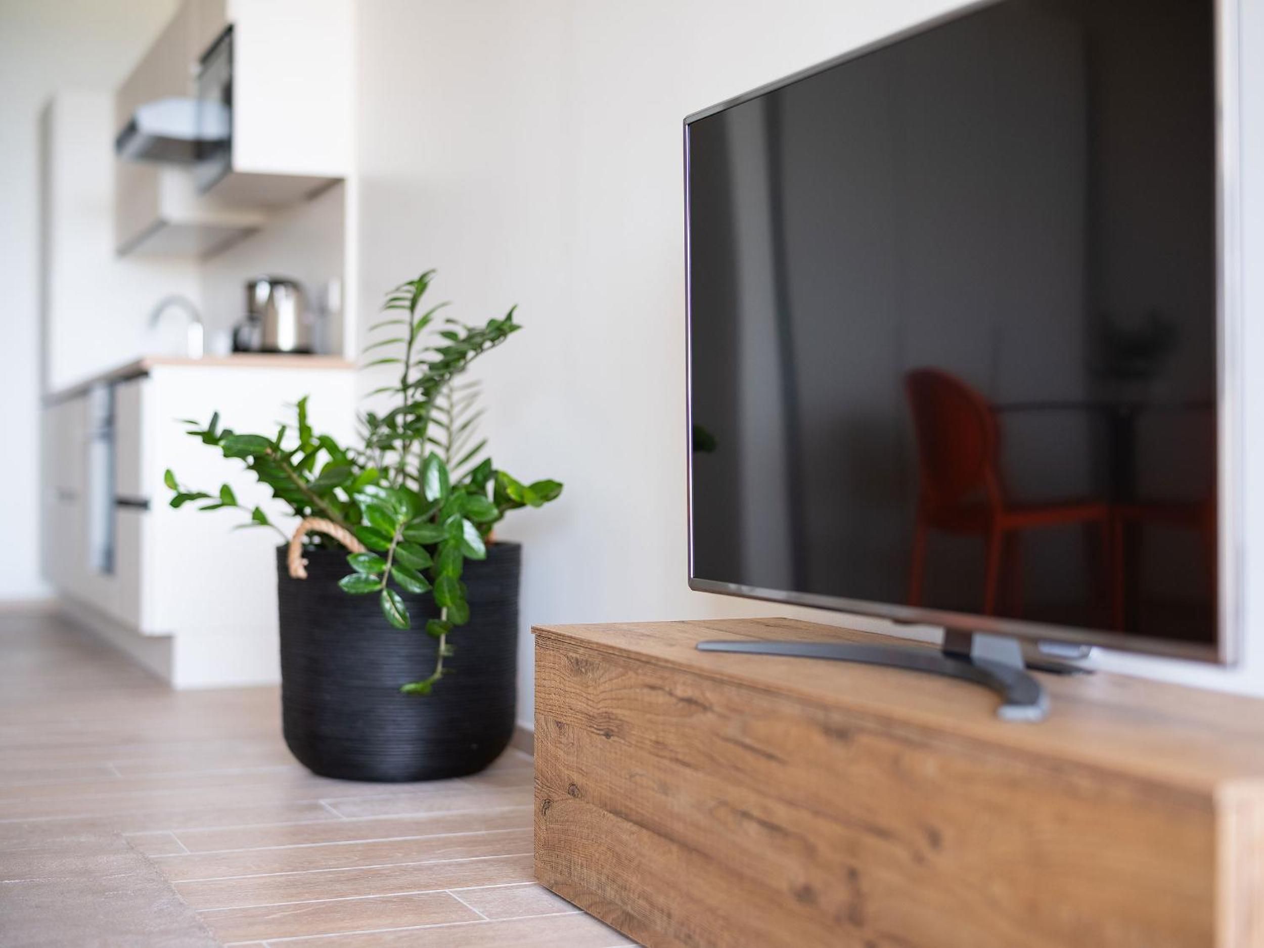 Een moderne woonruimte met een flatscreen televisie op een houten standaard, een plant in pot en een keuken in de achtergrond.