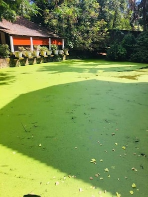 Lake view - ASIRI ENVIRONMENTAL RESORTS & RESTAURANT (Ja-Ela)