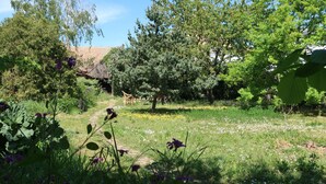 Ein Garten mit verschiedenen Bäumen, einem Weg und einigen violetten Blumen.