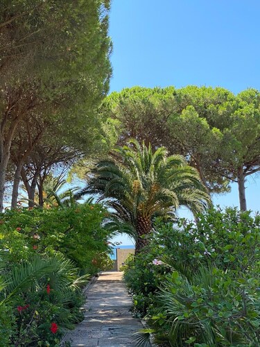 CAPITANA 8 Bedroom Villa with Direct Access to the Beach and Vast Garden