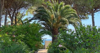 CAPITANA 8 Bedroom Villa with Direct Access to the Beach and Vast Garden