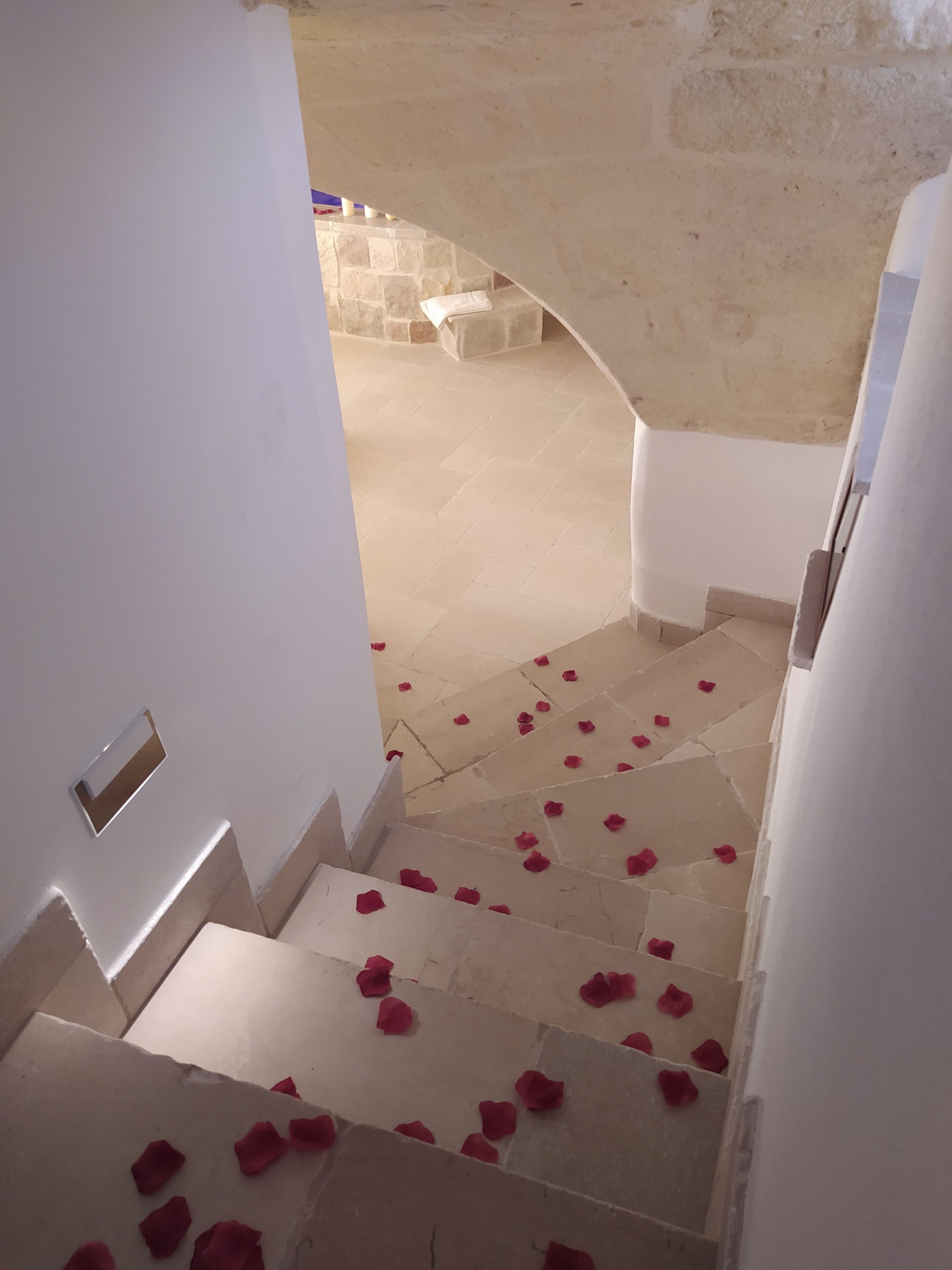 Literie de qualité supérieure, couette en duvet d'oie