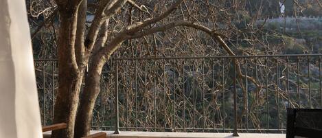 Basic Room | Terrace/patio