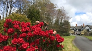 A traditional Tudor-style building with a paved driveway and a well-maintained garden with red flowers. - Upper Lake Chalet , Dog and Pet Friendly (Caernarfon)