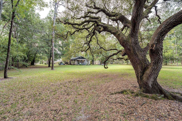 Beautiful Yard!