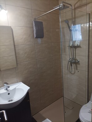 A modern bathroom with a glass shower enclosure, a white sink, and a toilet.