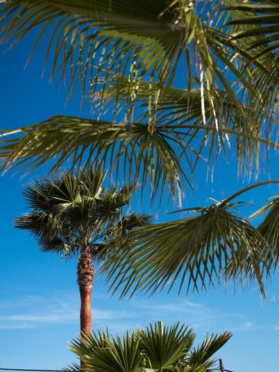 Stuning views´s villa with pool close to beach and Ibiza