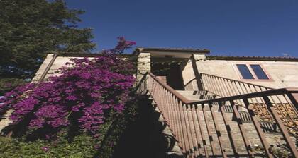 Villa CON Piscina Y Pista DE Padel A 5 Minutos DE Pontevedra