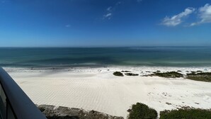 A beach with a clear sky and calm sea. - Beachfront Sky High Views-14th Floor- Sand Key! Resort Level Amenities! (Clearwater)