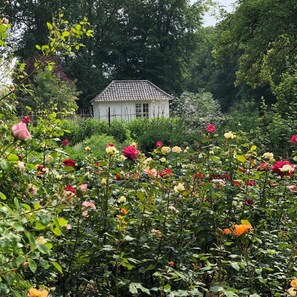 Property grounds - Unique holiday home located in the castle garden of the White Castle estate (Loon op Zand)