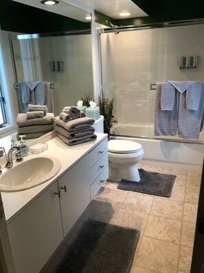 Combined shower/bathtub, hair dryer, towels, soap